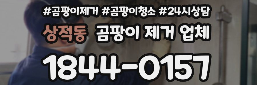 상적동 곰팡이 제거 업체