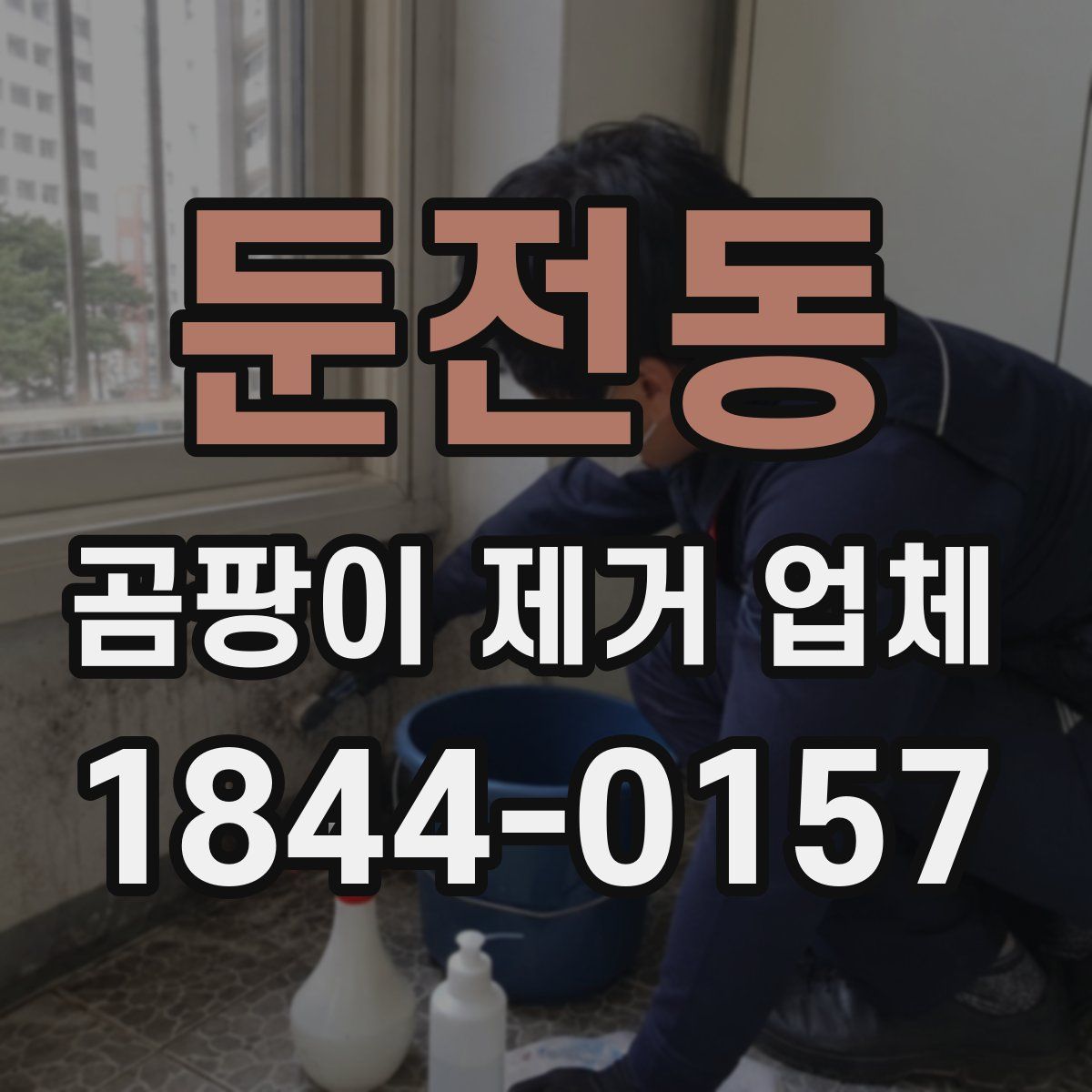 둔전동 곰팡이 제거 업체