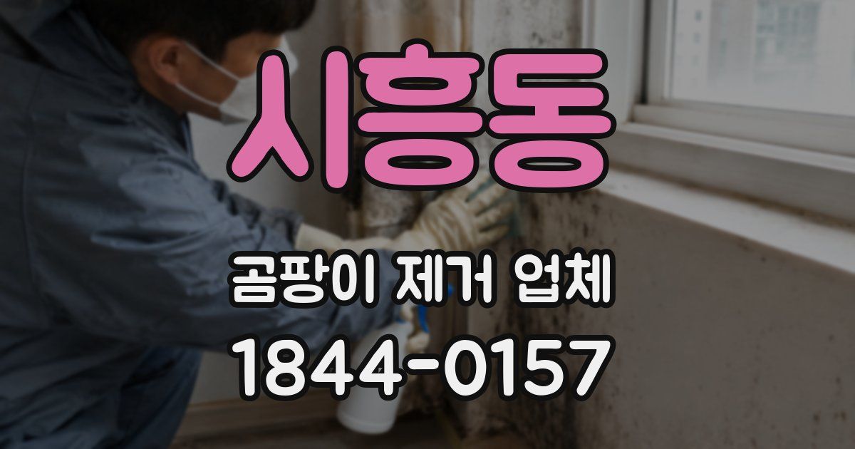 시흥동 곰팡이 제거 업체