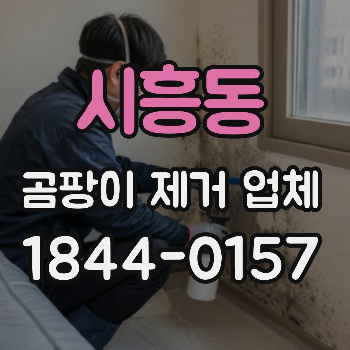 시흥동 곰팡이 제거 업체