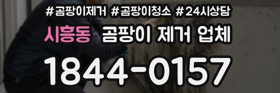 시흥동 곰팡이 제거 업체