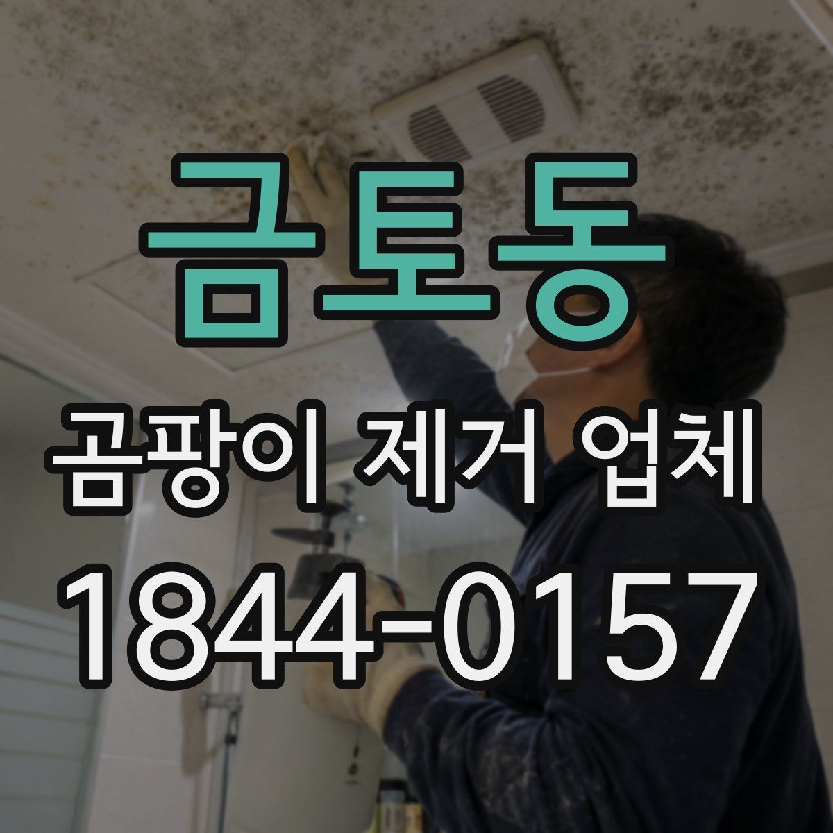 금토동 곰팡이 제거 업체