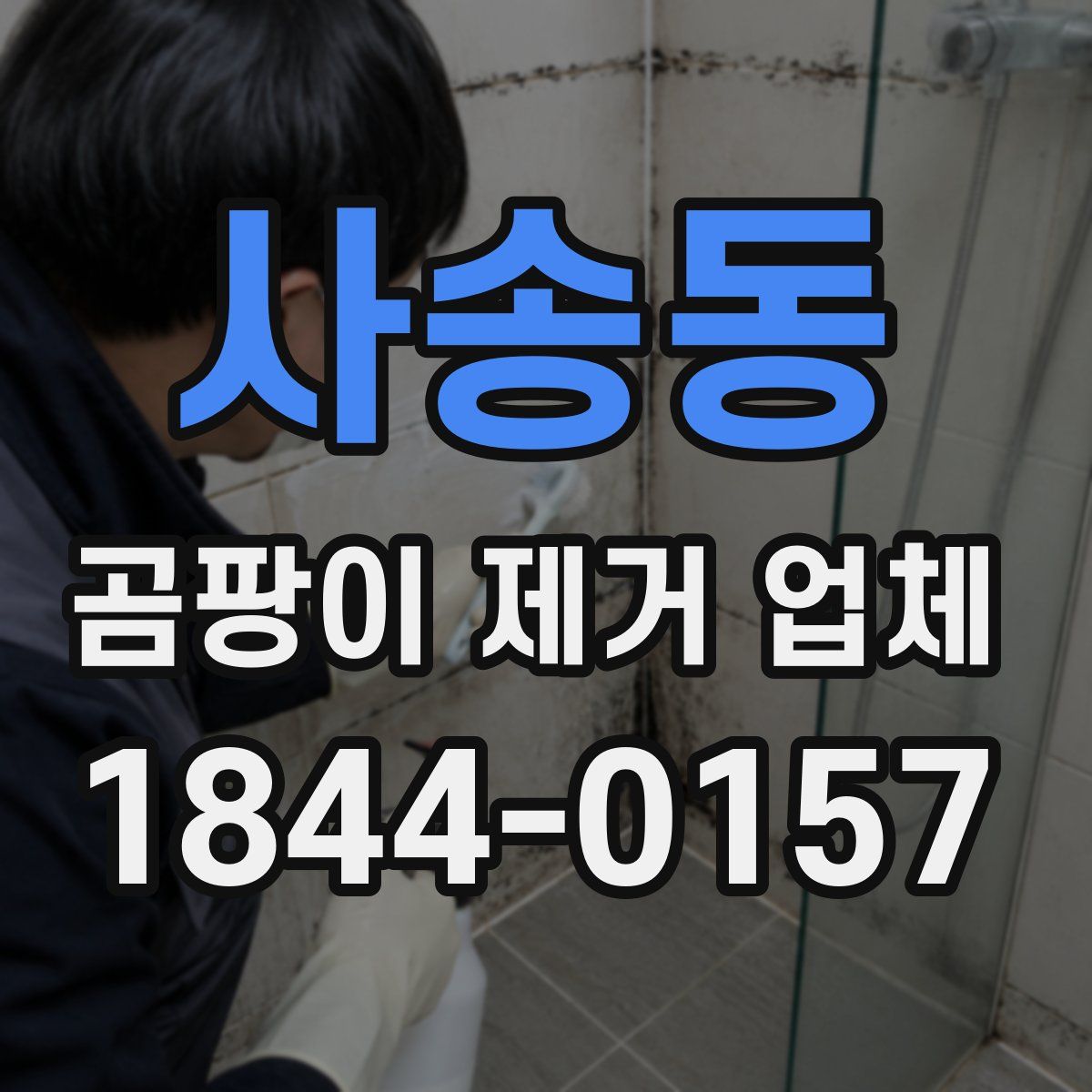 사송동 곰팡이 제거 업체
