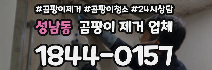 성남동 곰팡이 제거 업체