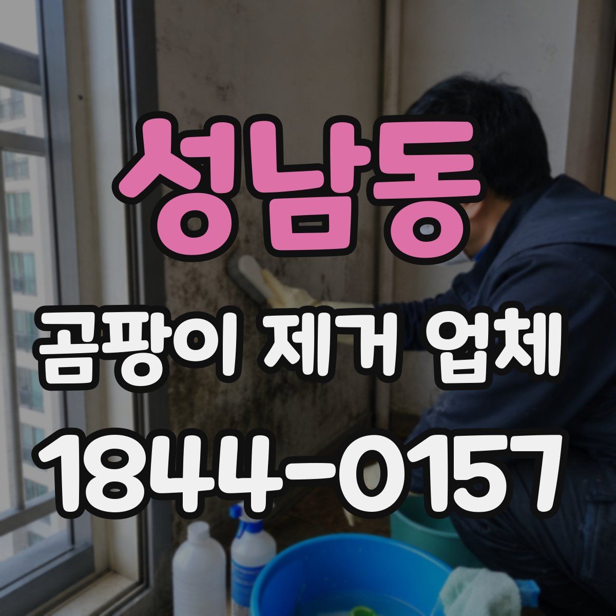 성남동 곰팡이 제거 업체