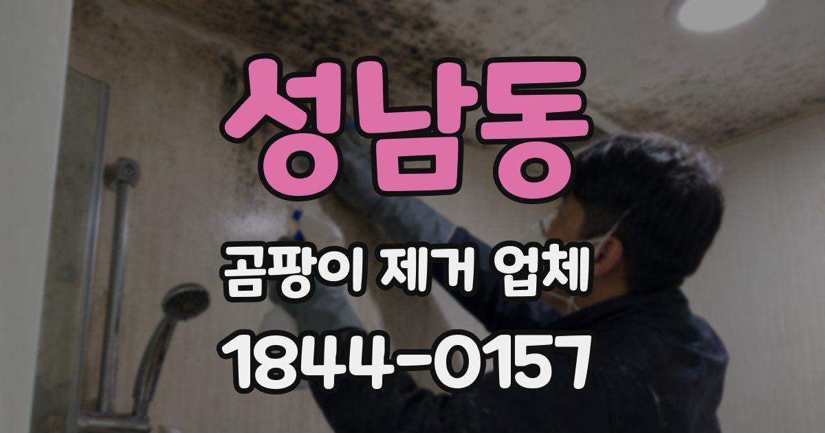 성남동 곰팡이 제거 업체