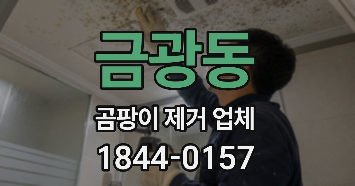 금광동 곰팡이 제거 업체