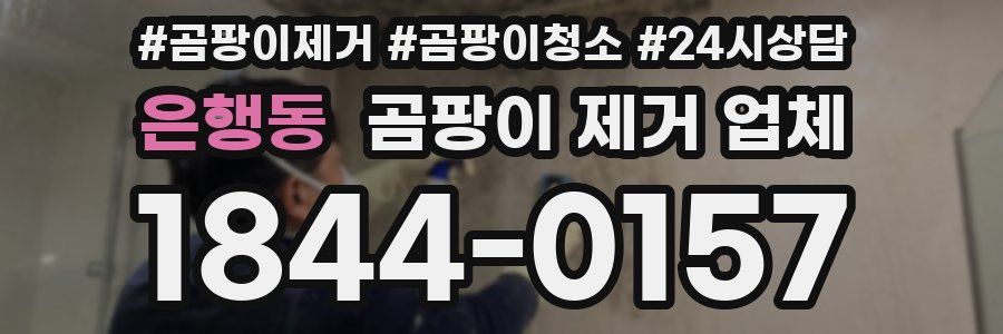 은행동 곰팡이 제거 업체