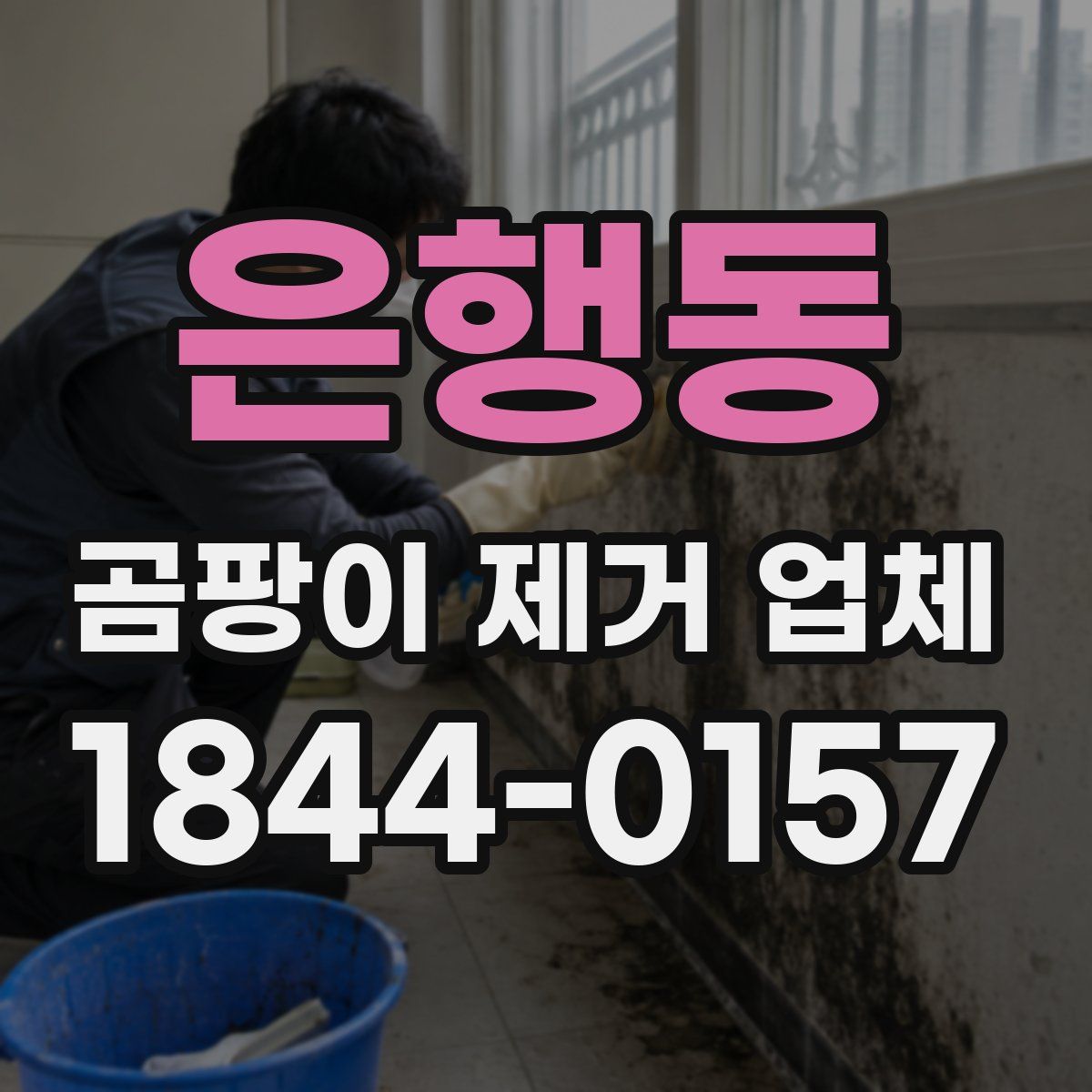 은행동 곰팡이 제거 업체