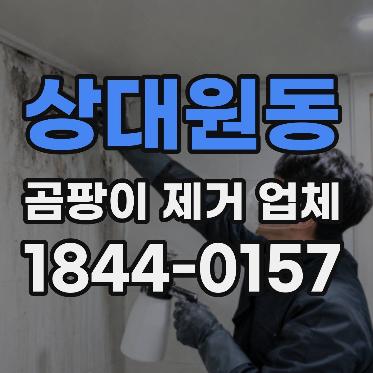 상대원동 곰팡이 제거 업체 생활 오염과 곰팡이를 구분해 처리하는 기준