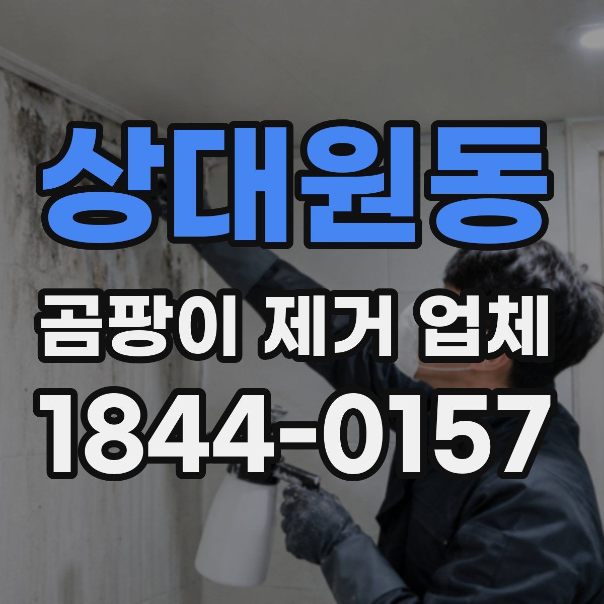 상대원동 곰팡이 제거 업체