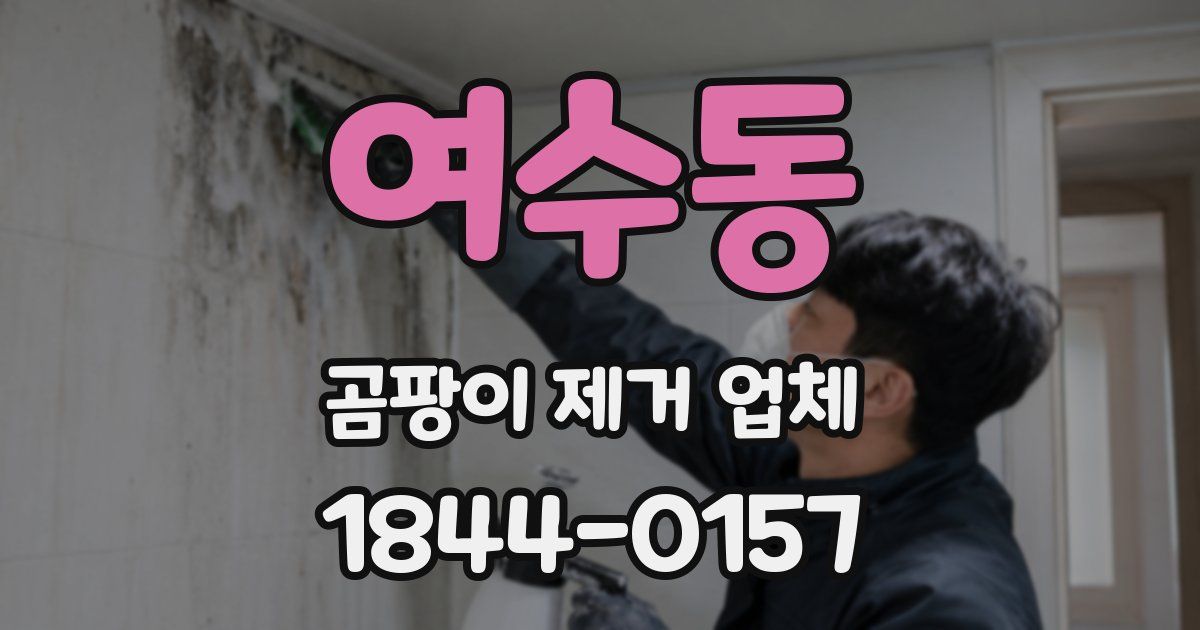 여수동 곰팡이 제거 업체