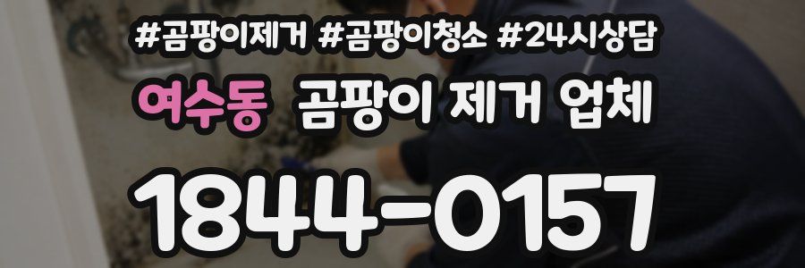 여수동 곰팡이 제거 업체