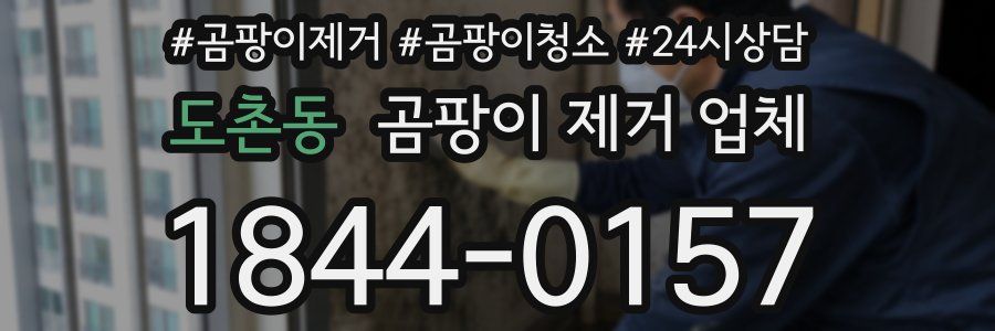 도촌동 곰팡이 제거 업체