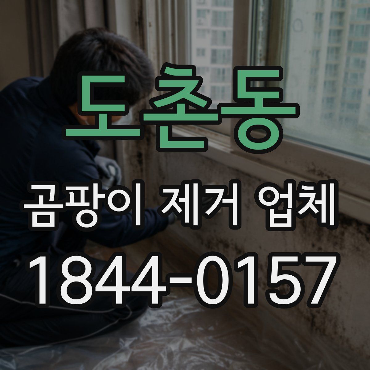 도촌동 곰팡이 제거 업체