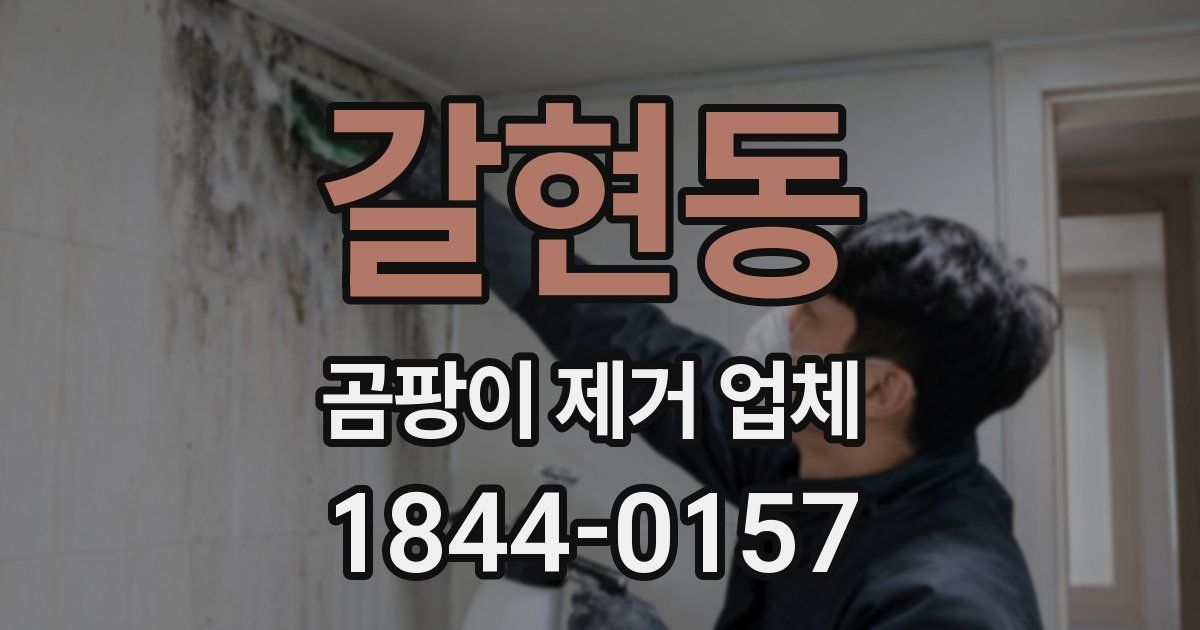 갈현동 곰팡이 제거 업체