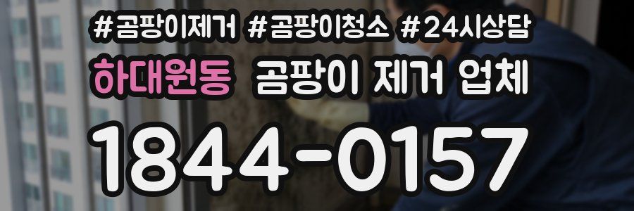 하대원동 곰팡이 제거 업체