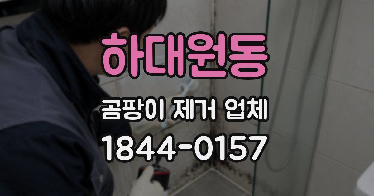 하대원동 곰팡이 제거 업체