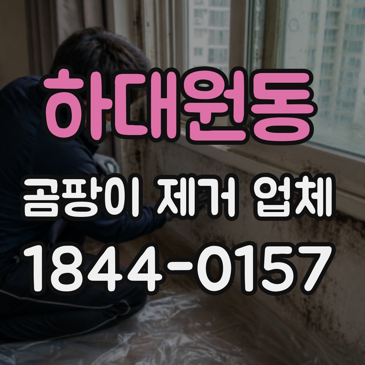 하대원동 곰팡이 제거 업체