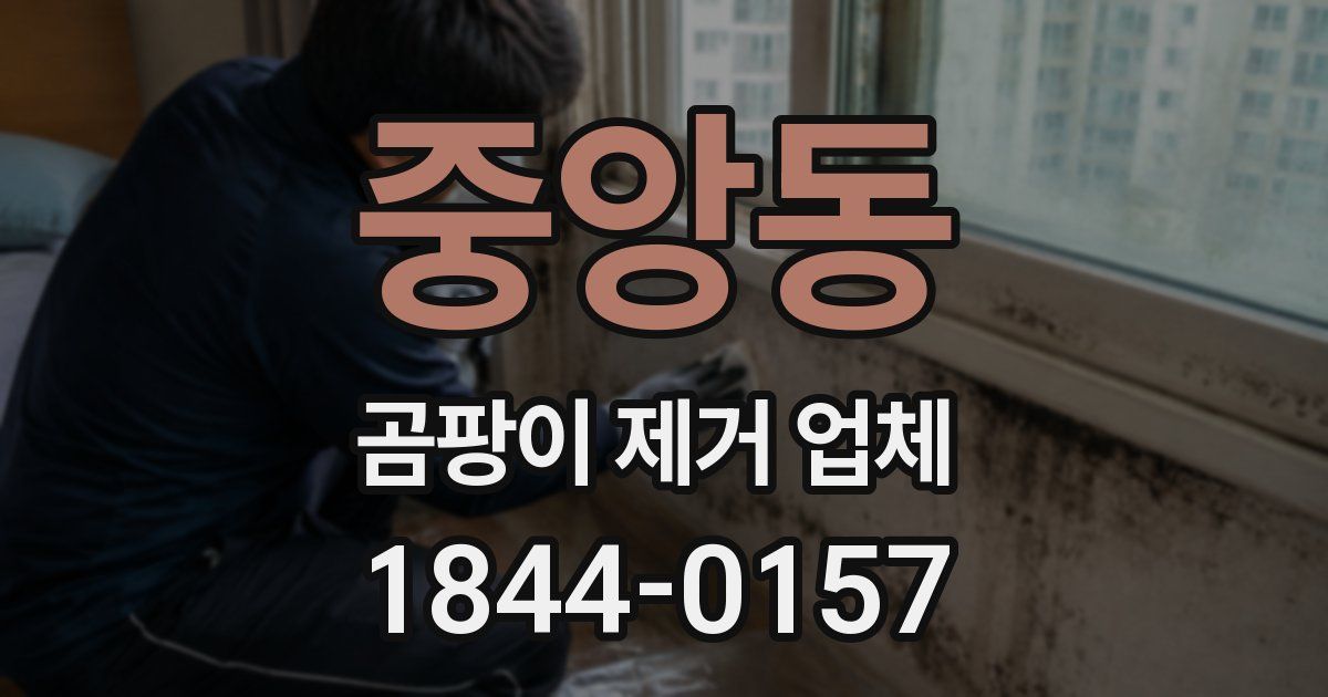 중앙동 곰팡이 제거 업체