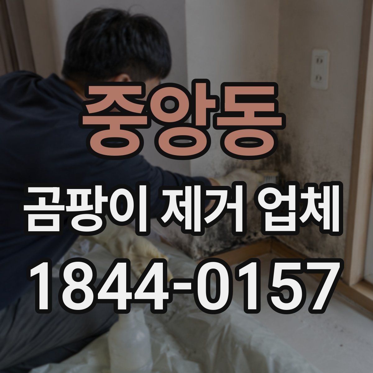 중앙동 곰팡이 제거 업체
