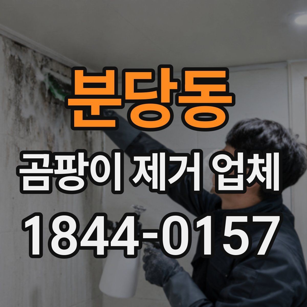 분당동 곰팡이 제거 업체 색상별 오염 차이로 살펴보는 진단