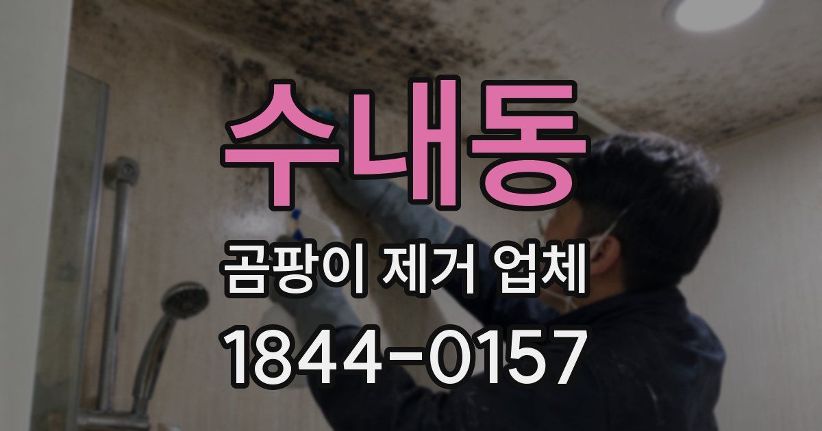 수내동 곰팡이 제거 업체
