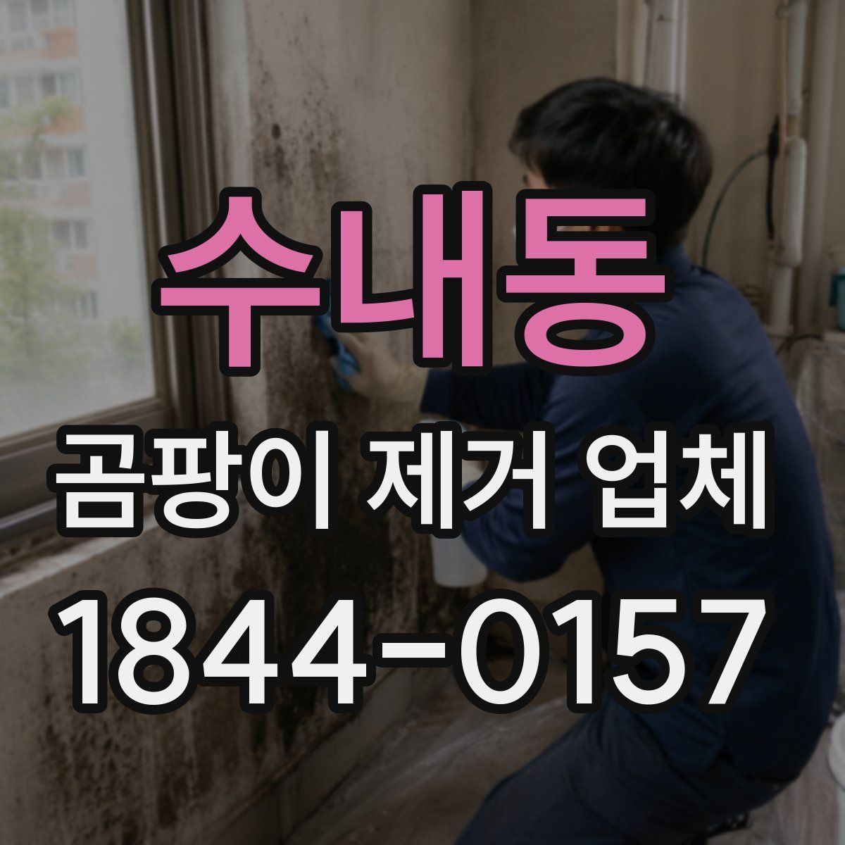 수내동 곰팡이 제거 업체
