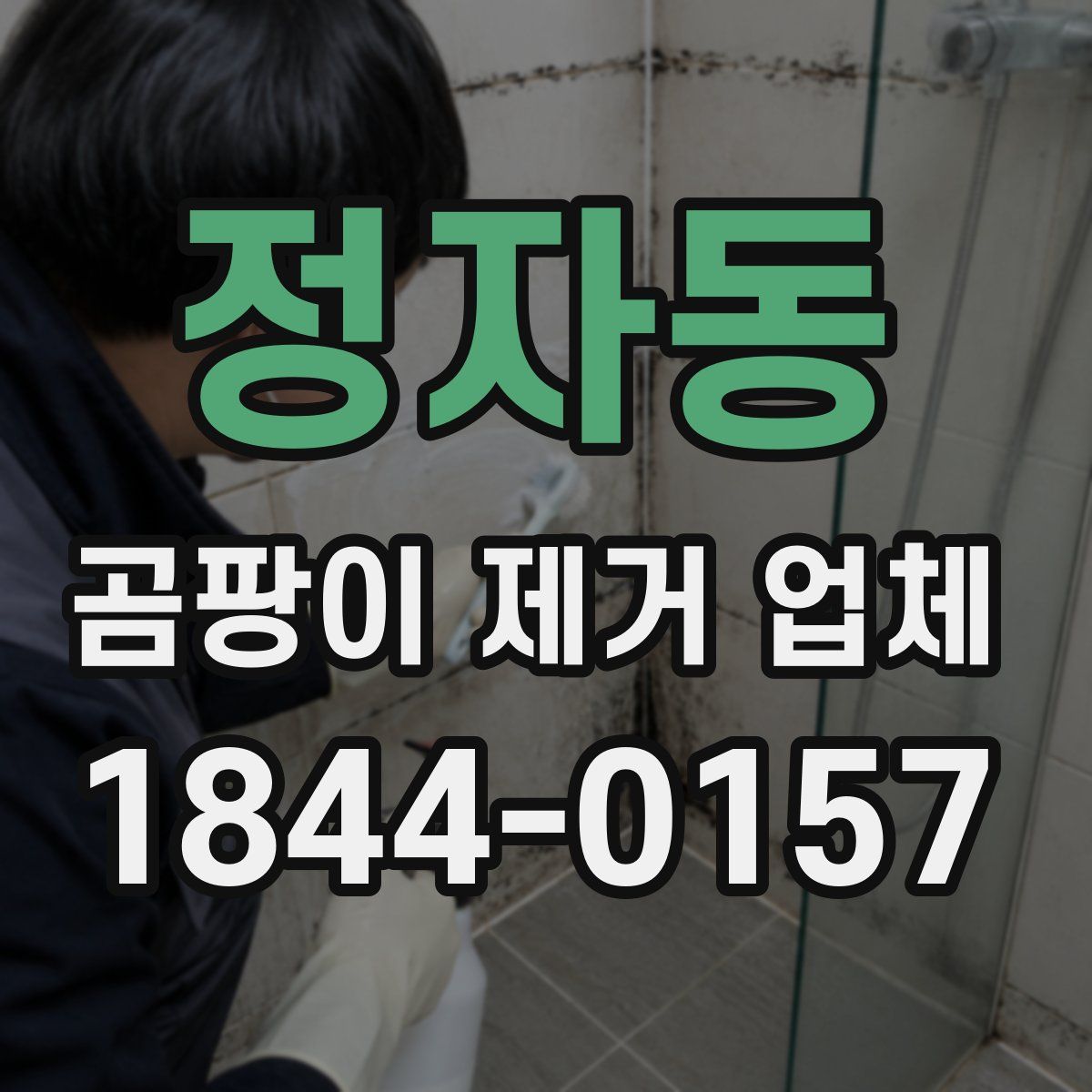 정자동 곰팡이 제거 업체