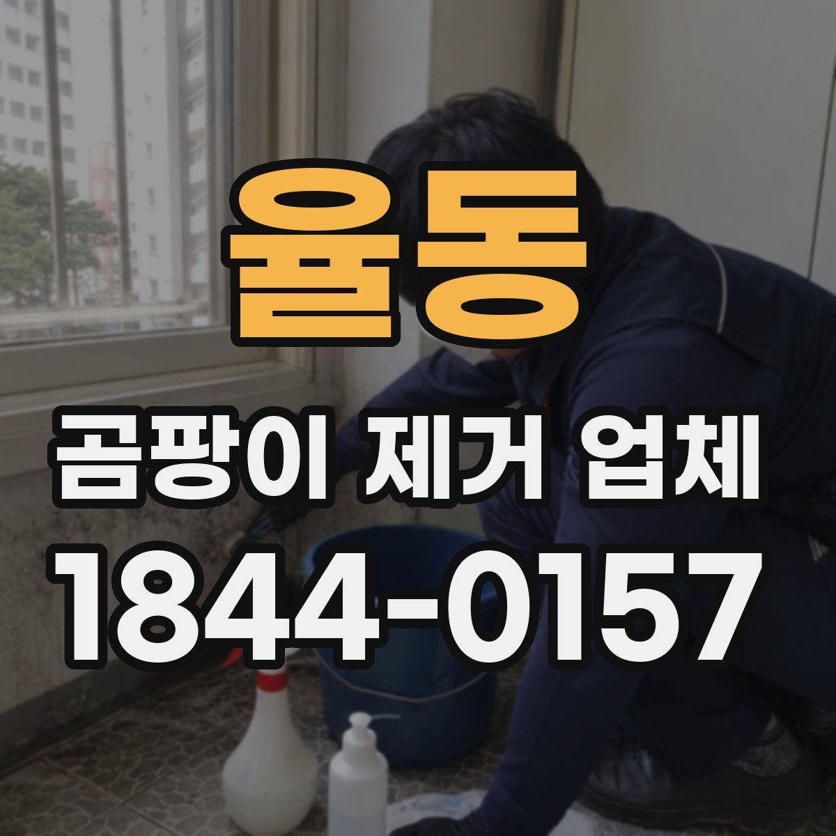 율동 곰팡이 제거 업체