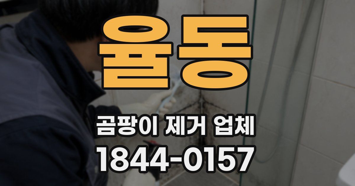 율동 곰팡이 제거 업체