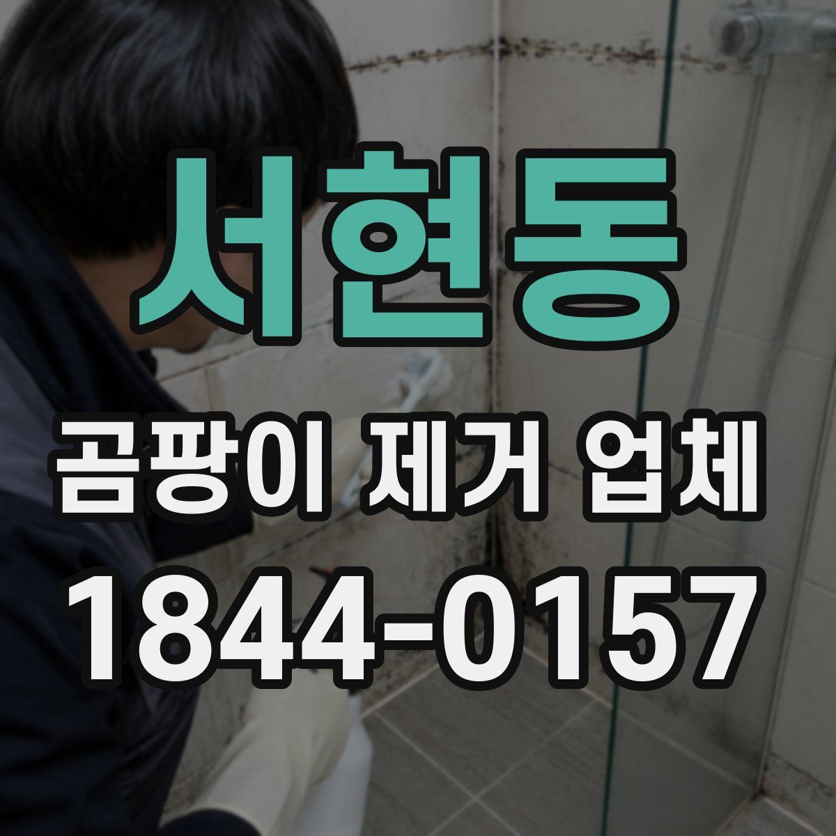 서현동 곰팡이 제거 업체