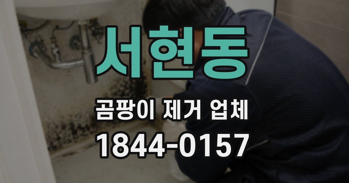 서현동 곰팡이 제거 업체