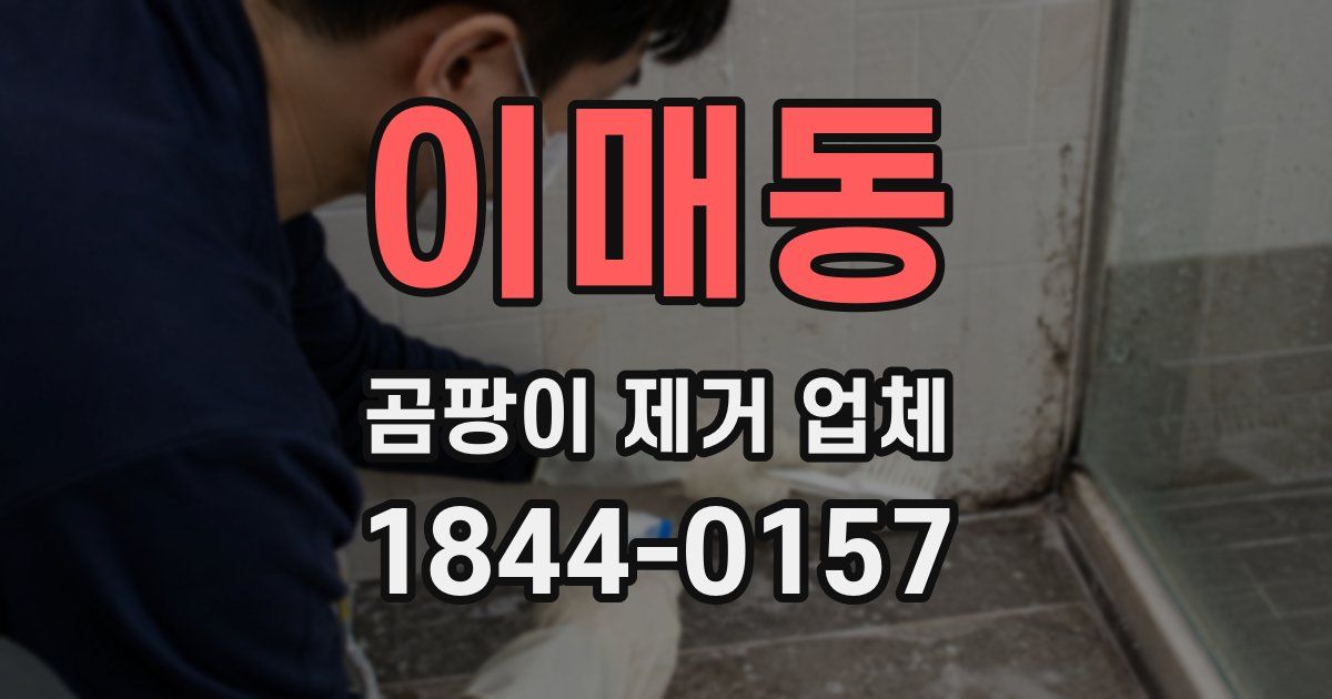 이매동 곰팡이 제거 업체