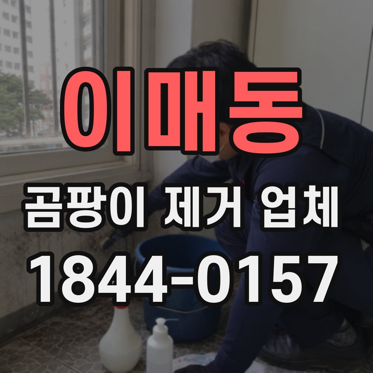 이매동 곰팡이 제거 업체