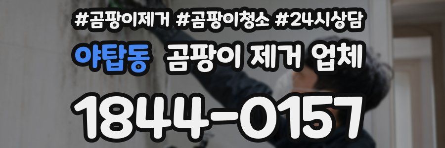 야탑동 곰팡이 제거 업체