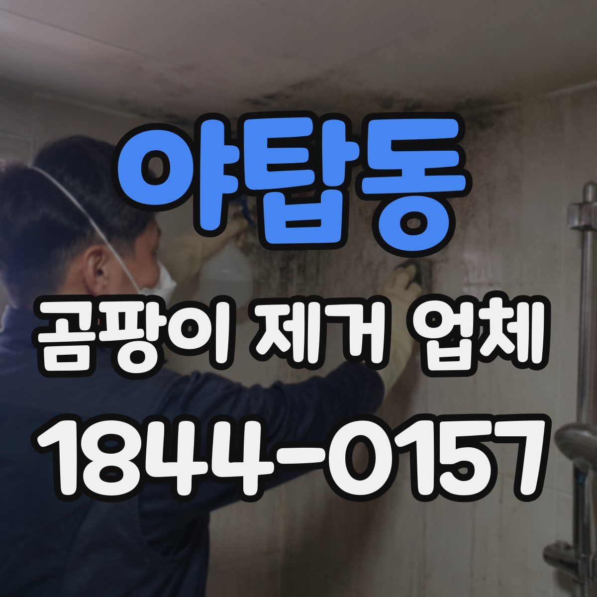 야탑동 곰팡이 제거 업체