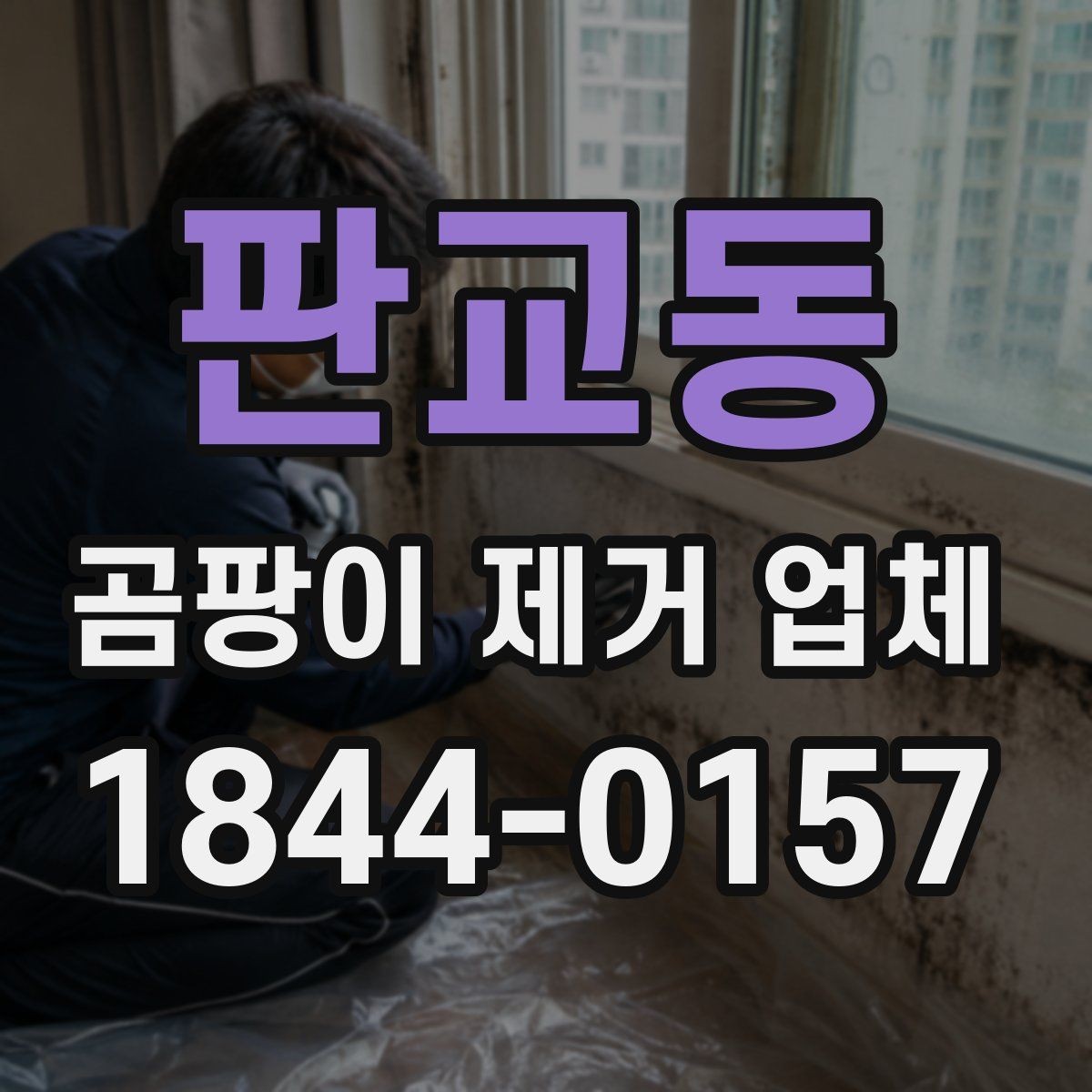 판교동 곰팡이 제거 업체 욕실 실리콘 오염을 다루는 기준