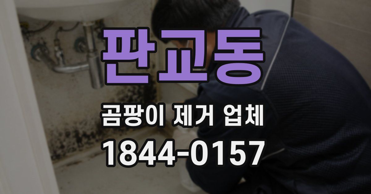 판교동 곰팡이 제거 업체