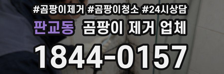 판교동 곰팡이 제거 업체