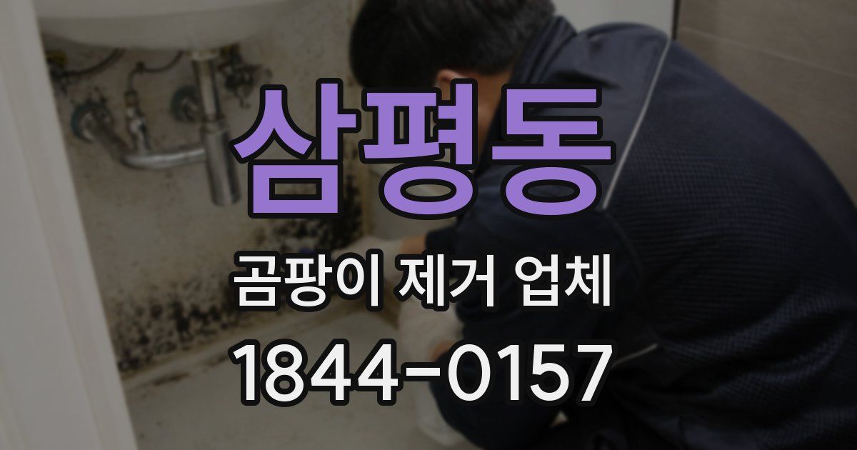 삼평동 곰팡이 제거 업체