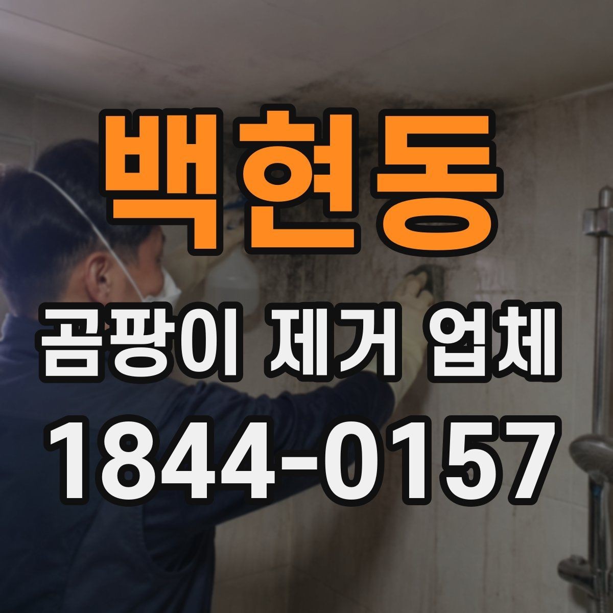 백현동 곰팡이 제거 업체 셀프로 처리하기 어려운 틈새 오염의 특징