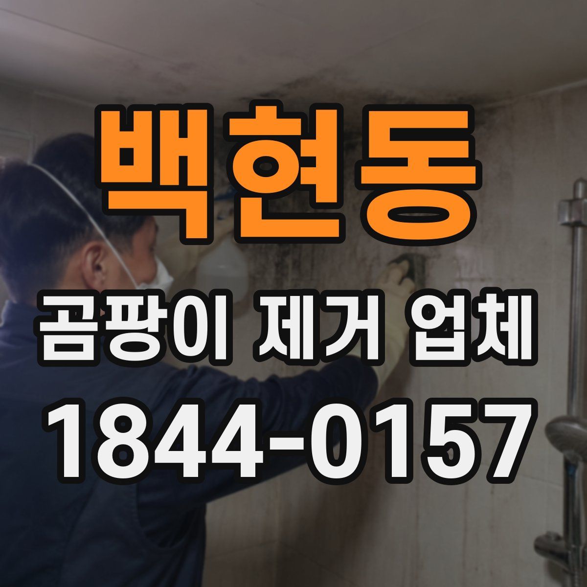 백현동 곰팡이 제거 업체