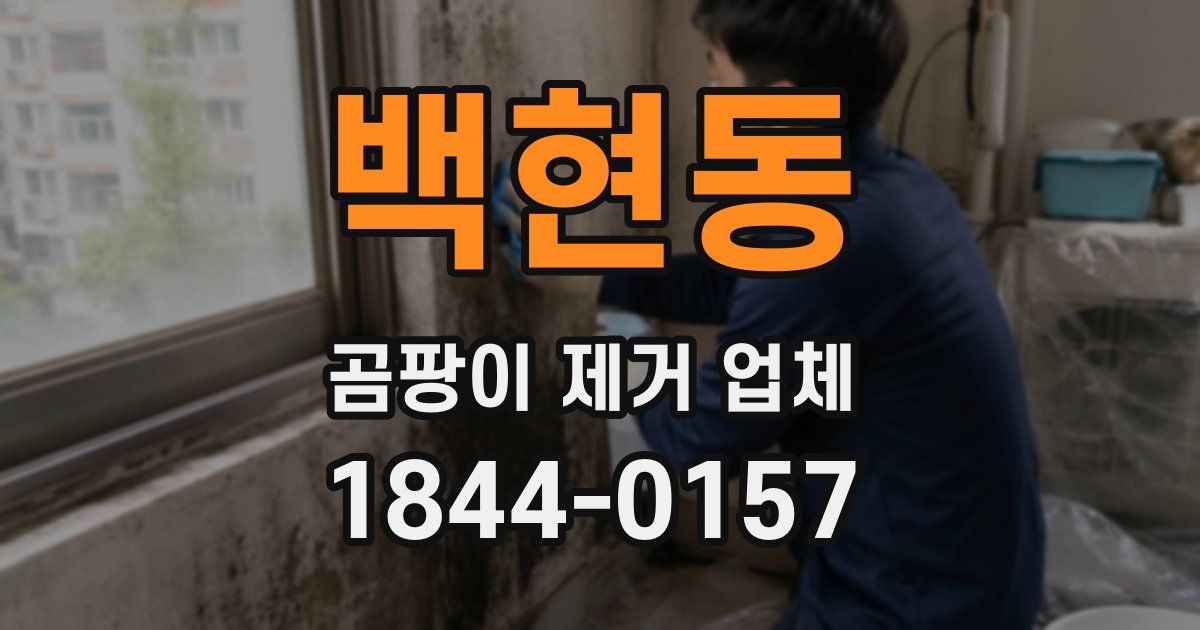 백현동 곰팡이 제거 업체
