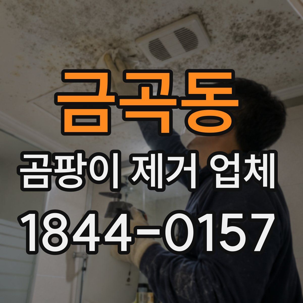 금곡동 곰팡이 제거 업체