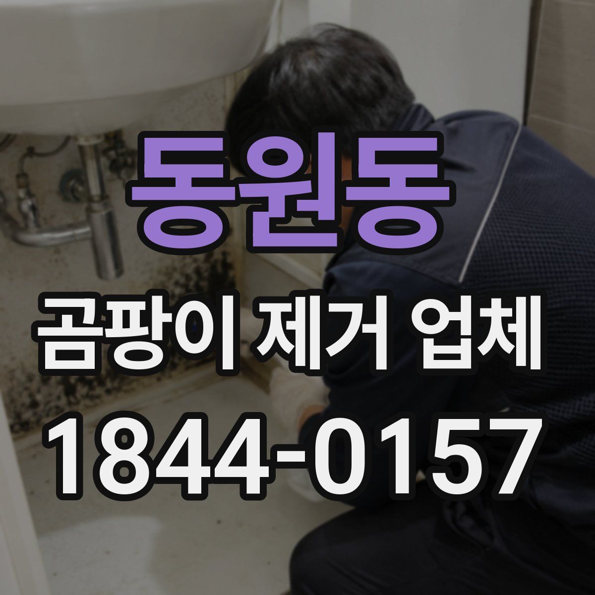 동원동 곰팡이 제거 업체
