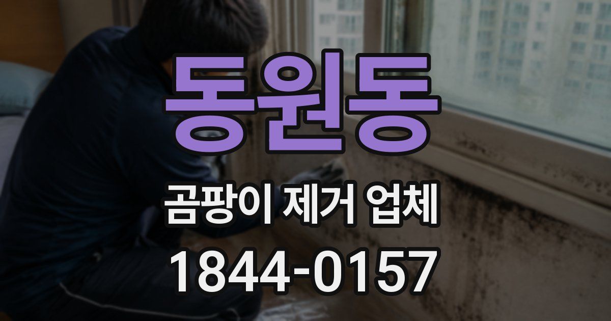 동원동 곰팡이 제거 업체