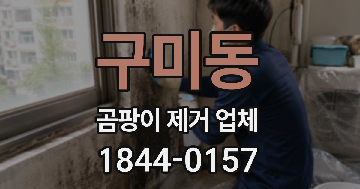 구미동 곰팡이 제거 업체