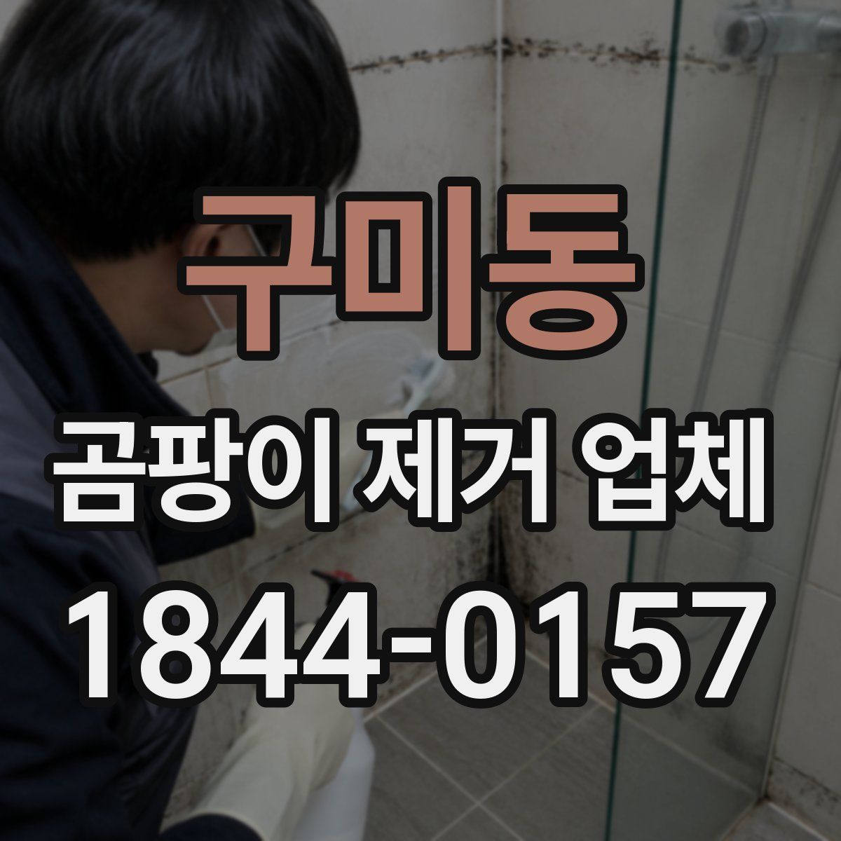 구미동 곰팡이 제거 업체