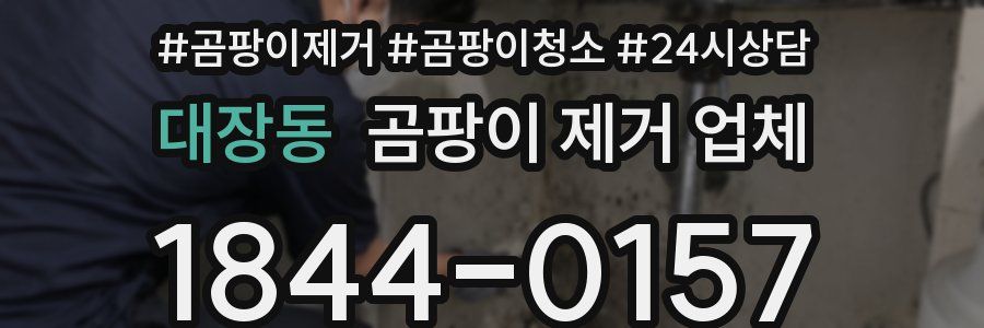 대장동 곰팡이 제거 업체